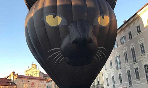 La special shape 'Le chat noir'