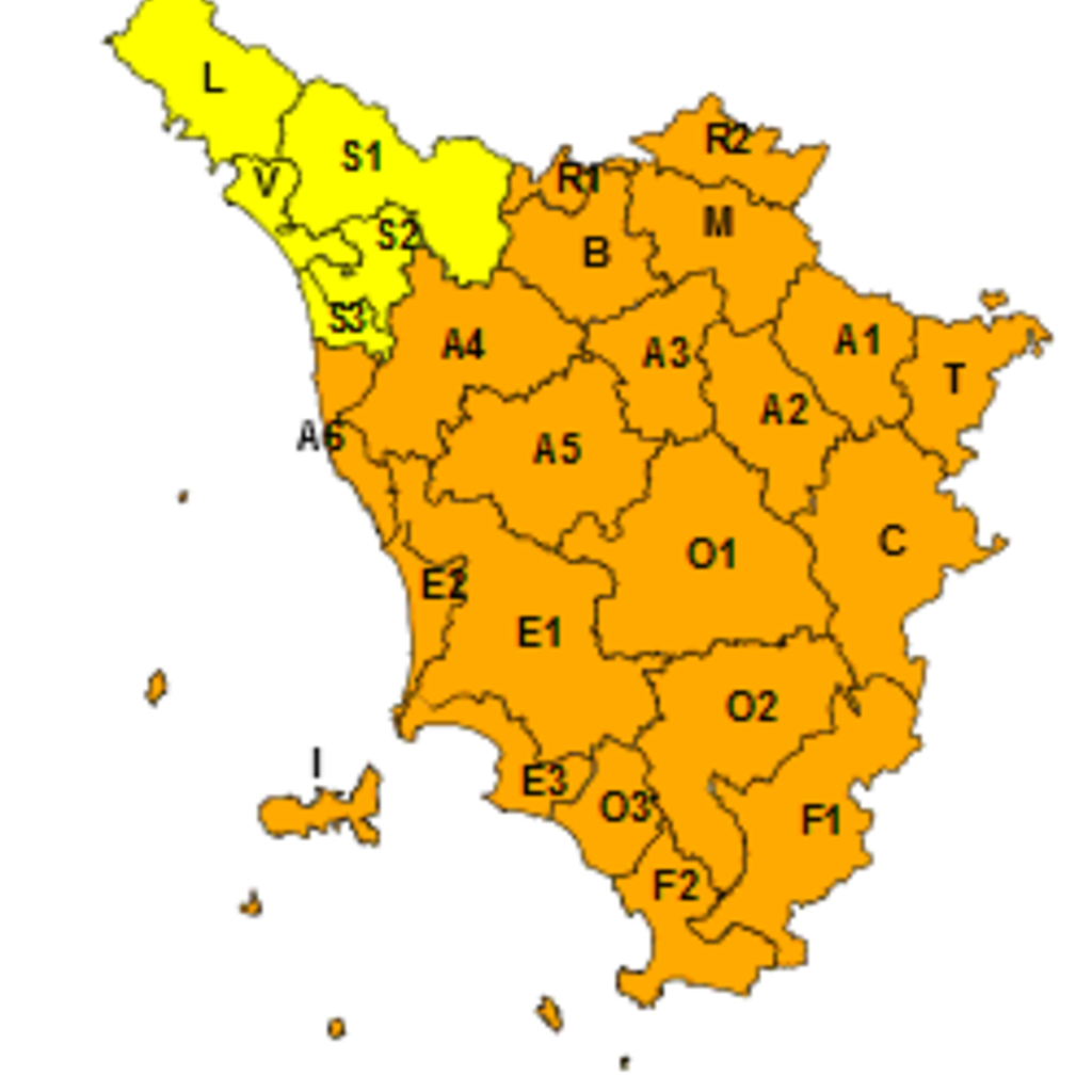 Cartina allerta meteo