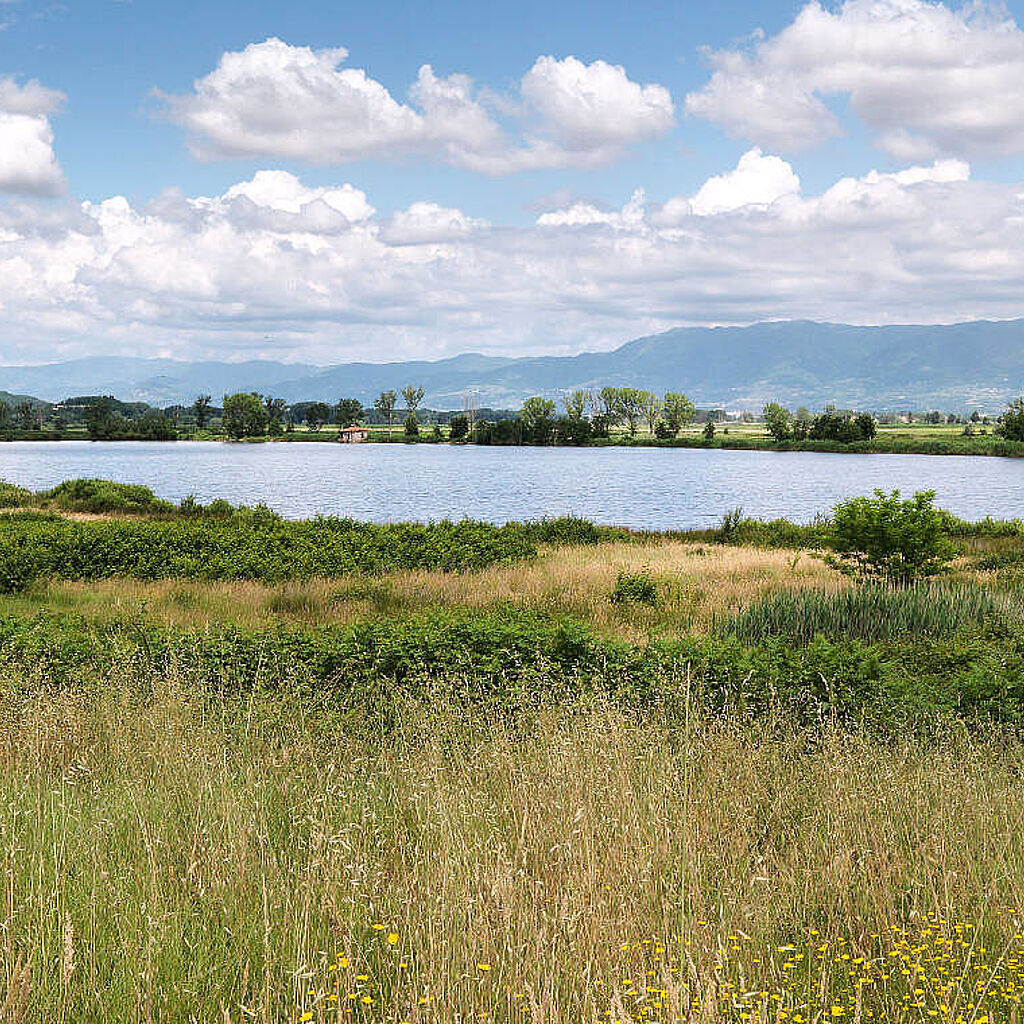 Il Lago della Gheradesca