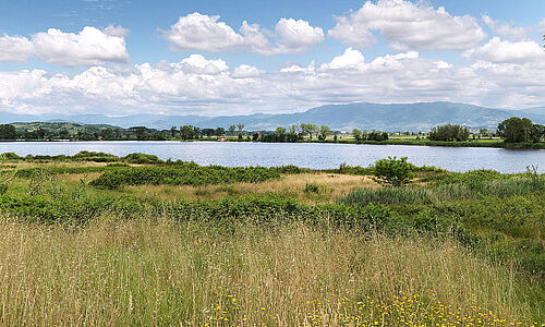 Il Lago della Gheradesca