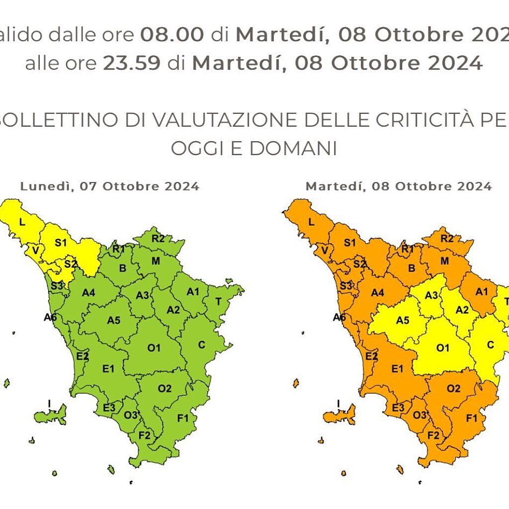 Cartina allerta meteo